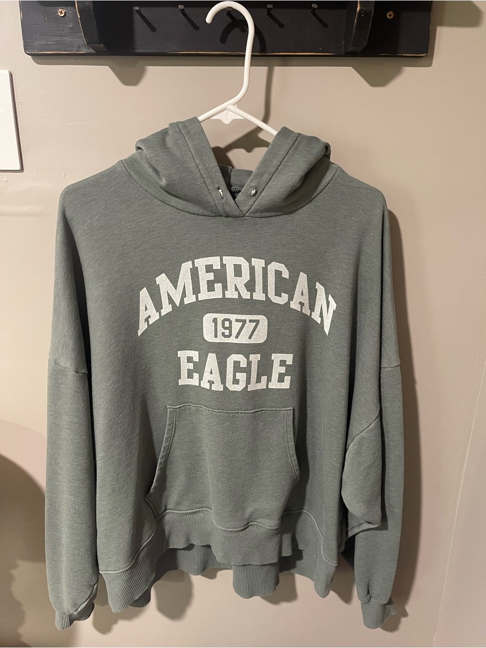 Vintage American Eagle 1977 Sage Green Hoodie